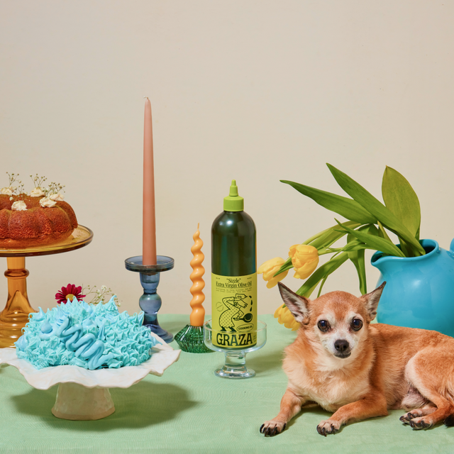 Can My Dog Have Olive Oil? 5 Health Benefits