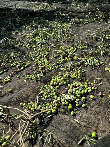 Filtered vs Unfiltered Olive Oil: Your Questions Answered