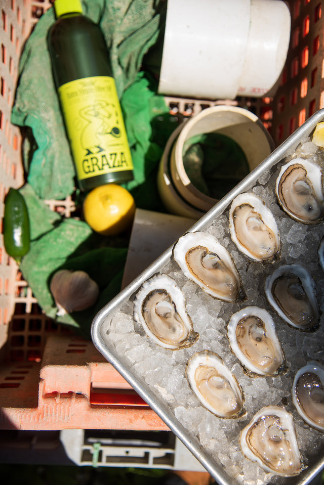 Shucking 101 with Island Creek Oysters