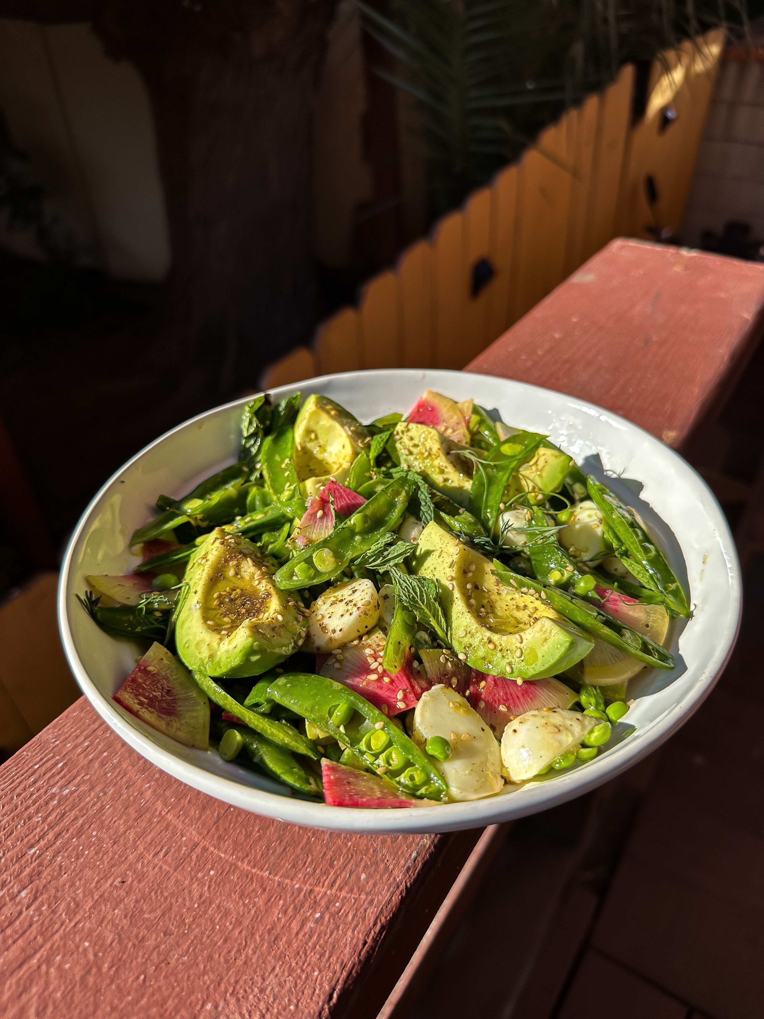 IMG_7284_cf02089f-1254-4d5c-